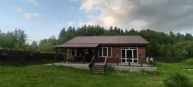 Саванна - 3