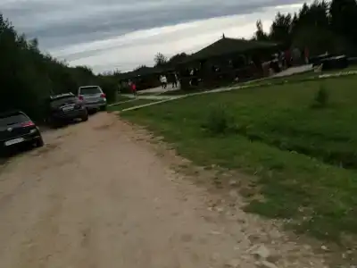 Боры - 4