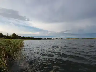 Виваль - 53