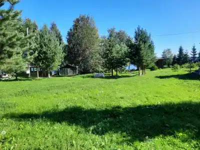 Турбаза - 44