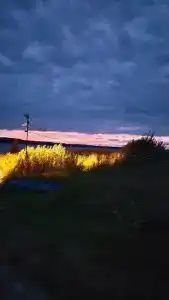 Мантиансаари - 45