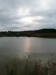 Шерья - 18
