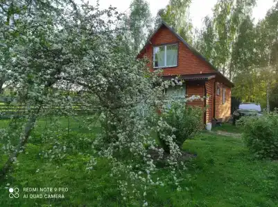 Хуторок Борок - 2