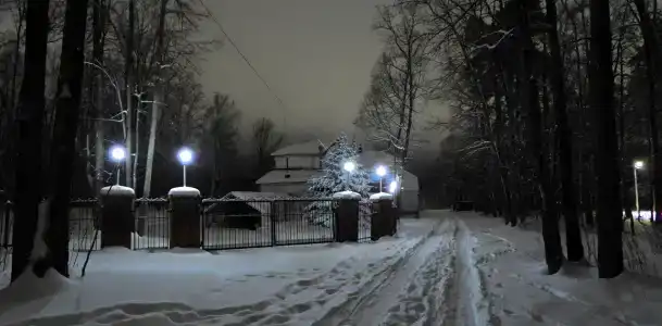 Лесная - 19
