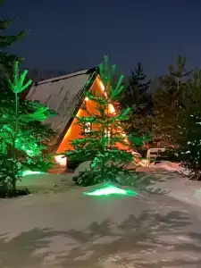 ForestHouse Лесной домик - 43