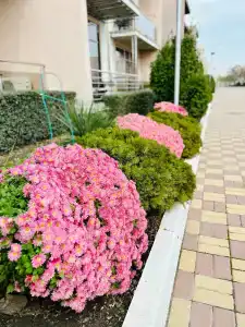 Diamond Park - 3