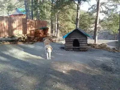 Здравушка на Катуни - 5