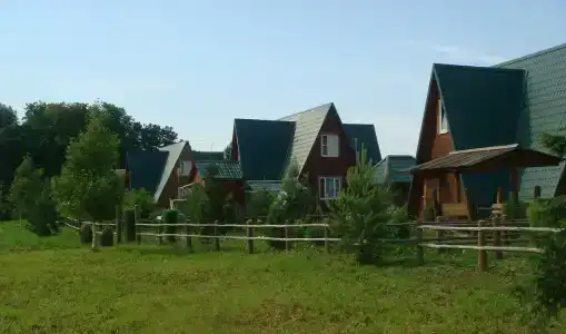 Кедр - 6