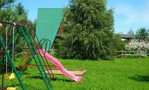 Кедр - 13