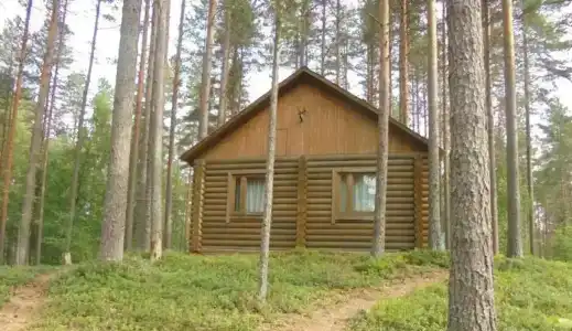 Курмойла - 1