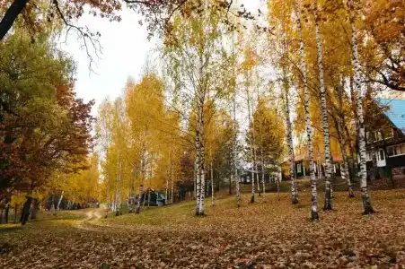 Селигерский плёс - 16