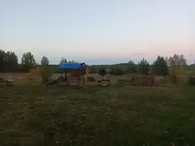 Петровых - 45