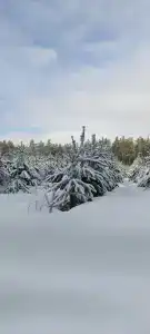 Дом на озере с баней - 34