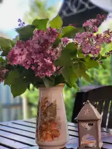 Дом в Дракино - 14