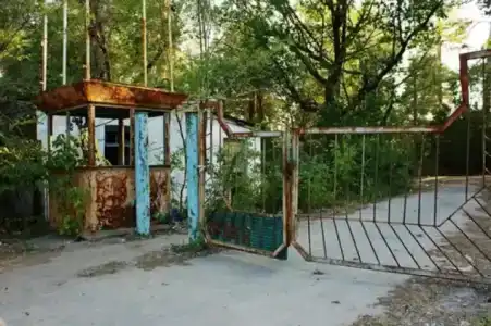 Дубки - 7
