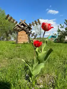 Рай в шалаше - 97