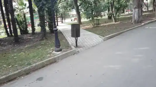 Хоста - 36
