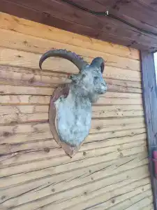 Джайляу - 12