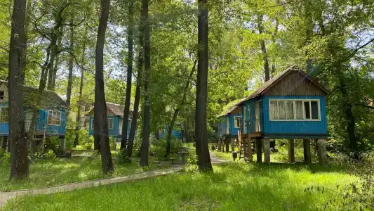 Ивушка - 44