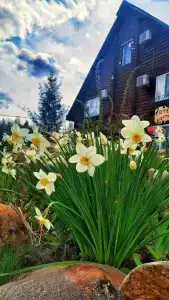 Вольские дачи - 29