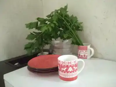 Домик Рыбака - 11