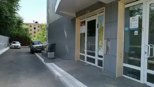 Мини-Акация - 0