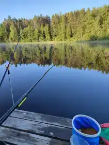 Селигерское заплавье - 74