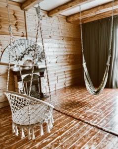 Kinglet - 21