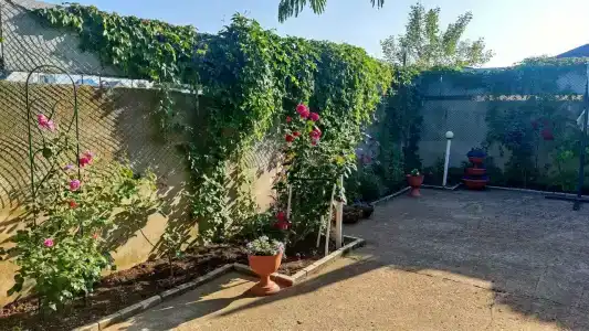 Крымская дача в Орловке - 1