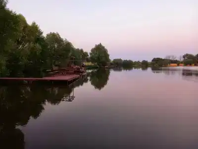 Золотой карп - 20