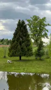 Оазис - 48