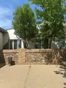 Светлана - 1