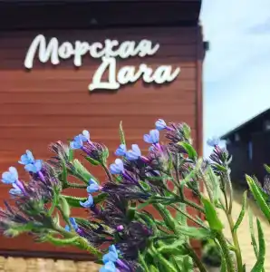 Морская дача - 2