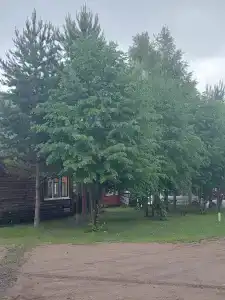 Морская Заимка - 28