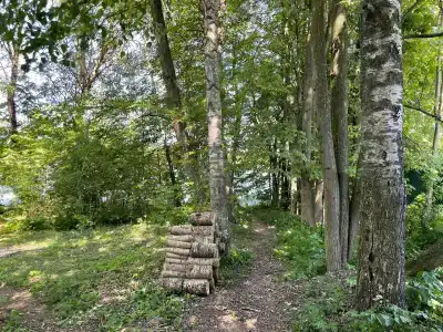 Соколино - 39