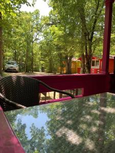 Эколоджия - 28