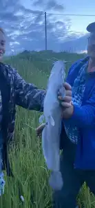 Экоферма в Василево - 39