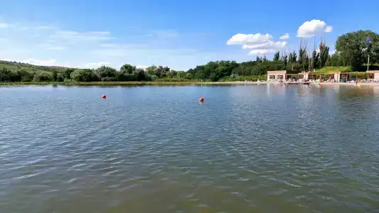 VS&Все свои - 25