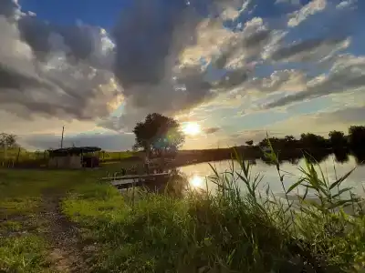 Янтарный берег - 1