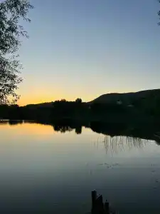 Родное - 24