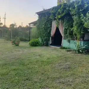 SunSet - 36