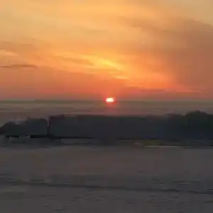 Альбатрос - 79