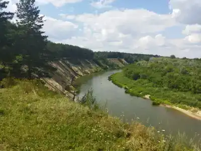 Простоквашино - 67