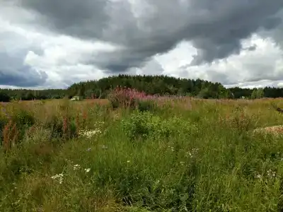 Вареновка - 82