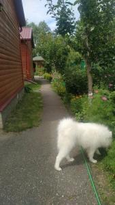 Владимирский Хуторок - 73