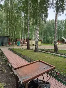 Берёзка - 79