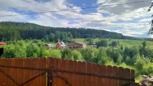 Тайга - 96