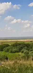 Калачики - 6