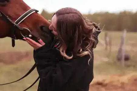 Бородино - 40