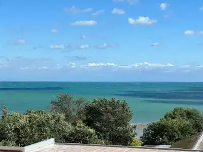 Сота - 16